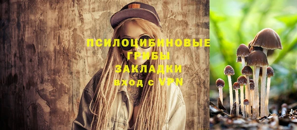 mix Баксан