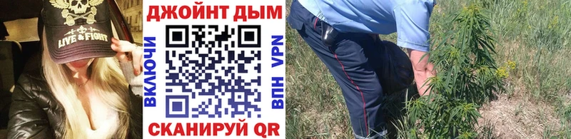 купить наркотики сайты Светлогорск Конопля план